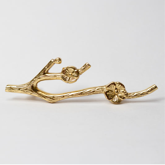 Apoorva Brass Knob