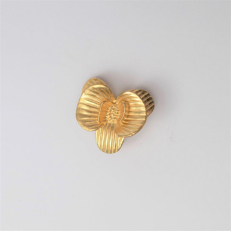 Pushp Brass Knob