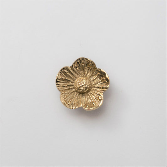 Rasika Brass Knob