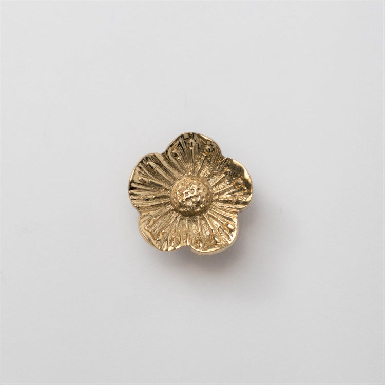 Rasika Brass Knob
