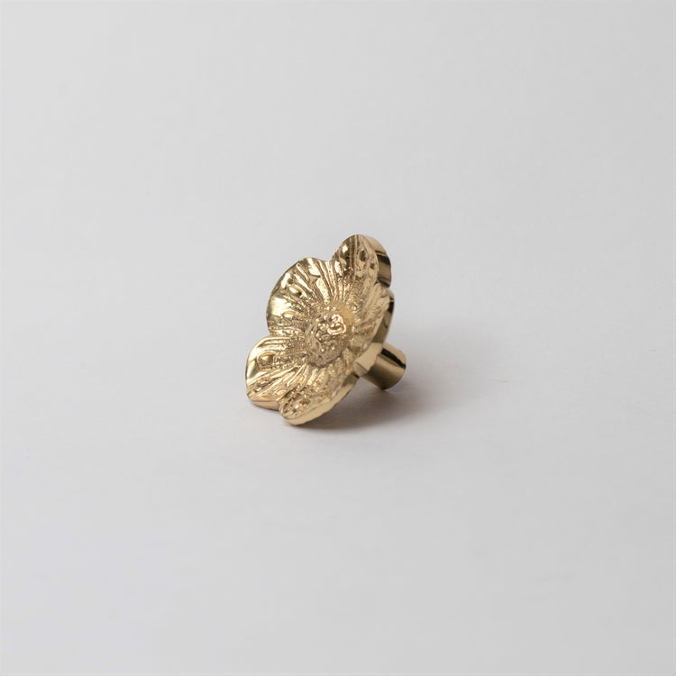 Rasika Brass Knob