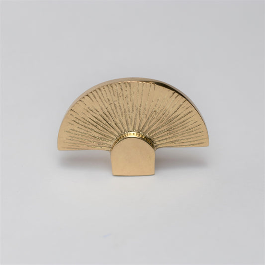 Tarini Brass Knob