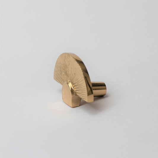 Tarini Brass Knob