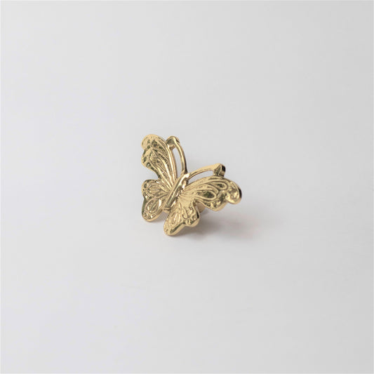 Udita Brass Knob